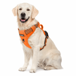 🐶 Funfox Hundegeschirr Mittelgroße Hunde [L] 🟠 - Verstellbares Anti-Zug Brustgeschirr mit Griff & Reflektorstreifen