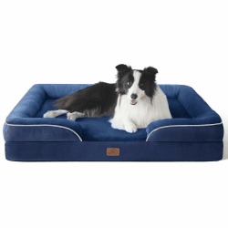 🐾 Hundebett für große Hunde - Orthopädisches Hundesofa 🐶