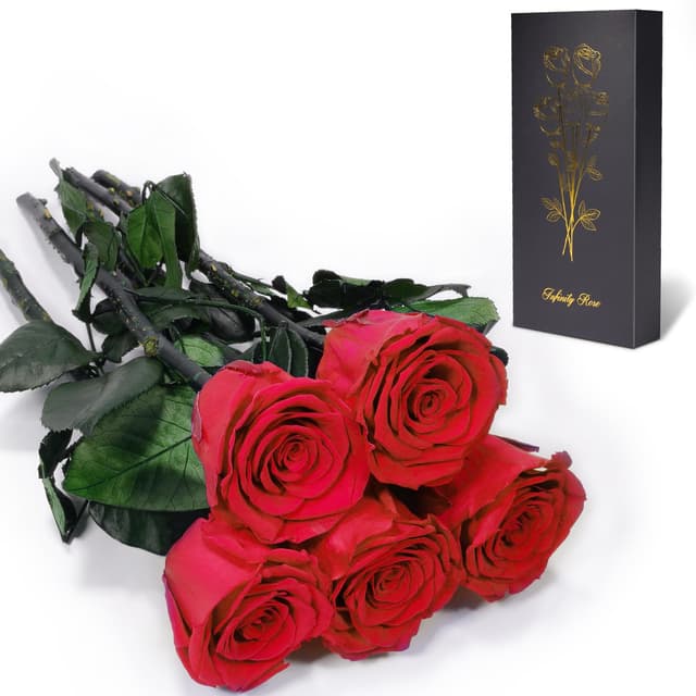 Yamonic Infinity Rose mit Stiel - Geschenke für Frauen 🌹🎁