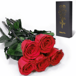 Yamonic Infinity Rose mit Stiel - Geschenke für Frauen 🌹🎁