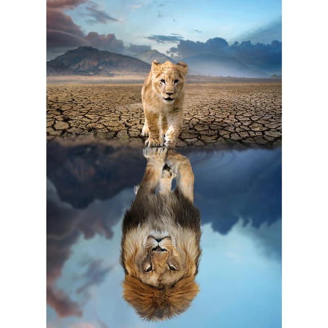 HUADADA Puzzle 1000 Teile - Löwe im Spiegelbild 🧩🦁