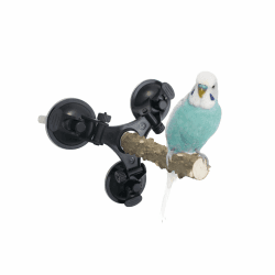 Natur Sitzstangen für Vogelkäfige 🐦 3 Saugnapf Sitzstangen Vogelzubehör Ständer Spielzeug
