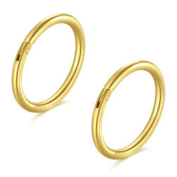 Longita 2 Stück Nasenpiercing Ring Helix Piercings Piercing Ohr Septum Piercing Nasenring Piercing Ohrpiercing Conch Knorpel Piercing Ring - Angebot!