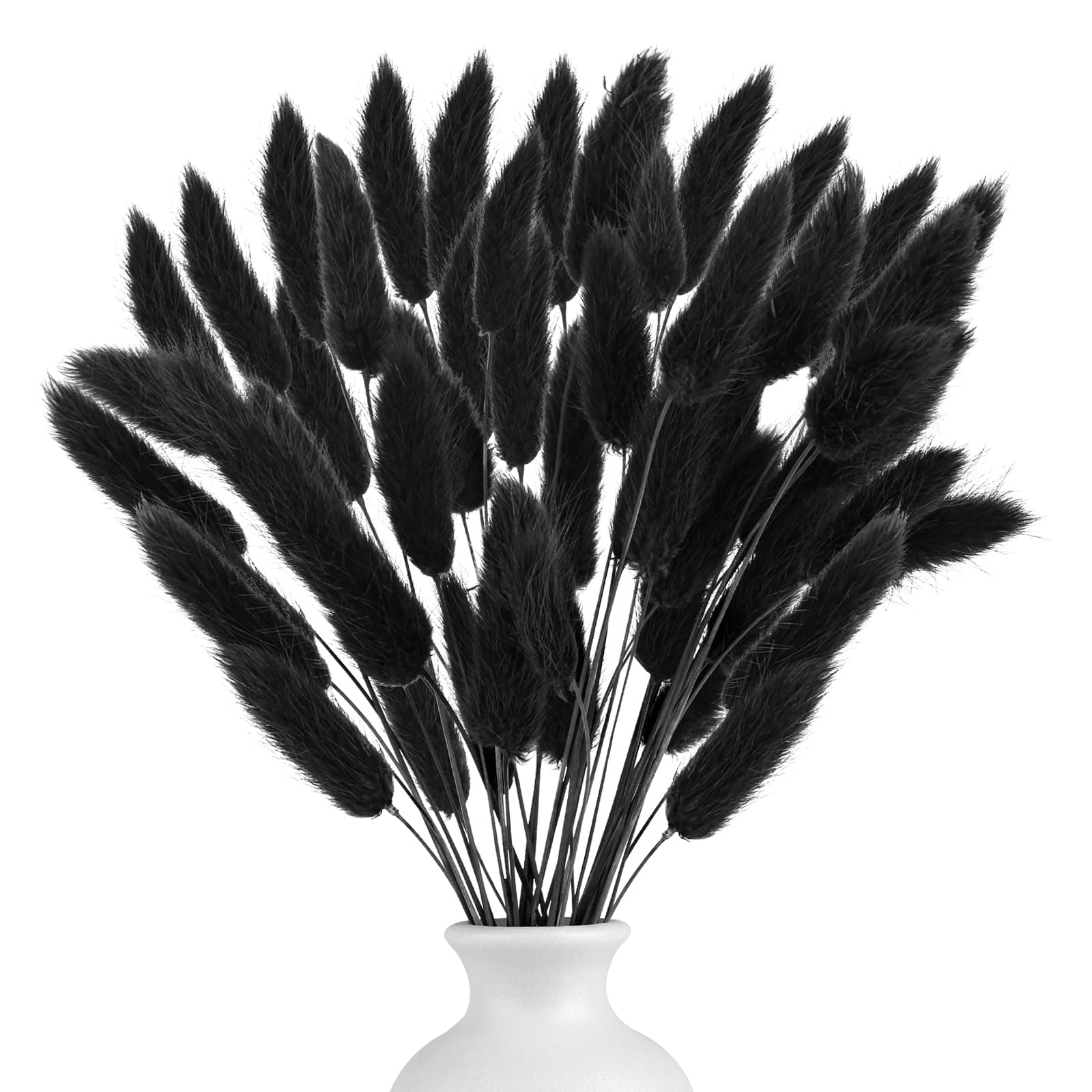 120 Stück Pampasgras Trockenblumen | Schwarz Pampasgras Getrocknet 🌾🏵️