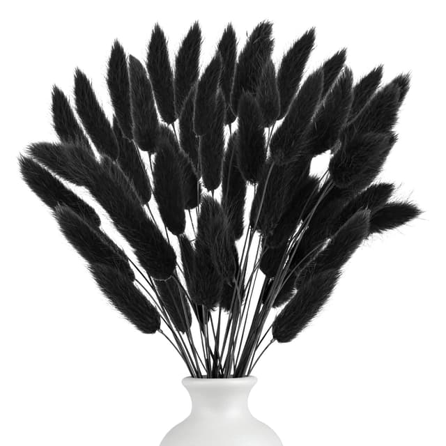 120 Stück Pampasgras Trockenblumen | Schwarz Pampasgras Getrocknet 🌾🏵️