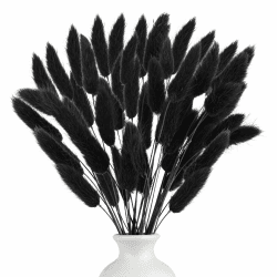 120 Stück Pampasgras Trockenblumen | Schwarz Pampasgras Getrocknet 🌾🏵️