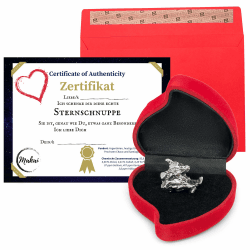 Sonderangebot: Makai echter Meteorit Sternschnuppe ⭐️