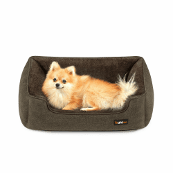 🐾 Feandrea Hundebett in Leinenoptik für kleine Hunde 🐶