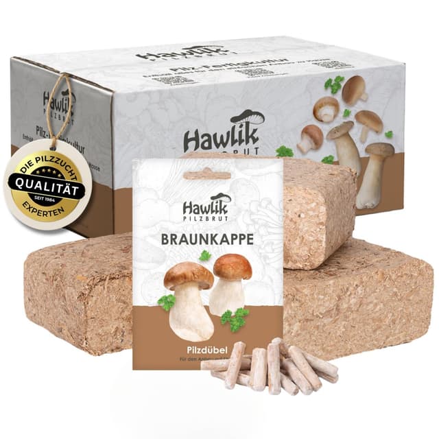 🍄🌱 Holen Sie sich mit dem Hawlik Pilzbrut Set Ihren eigenen Pilzgarten ins Haus! 🌿🍄
