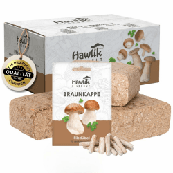 🍄🌱 Holen Sie sich mit dem Hawlik Pilzbrut Set Ihren eigenen Pilzgarten ins Haus! 🌿🍄
