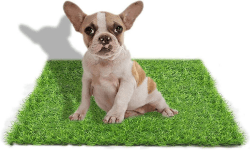 🐶🌿 STARROAD-TIM 50*60CM Kunstrasen Outdoor Hundeklo für Zuhause
