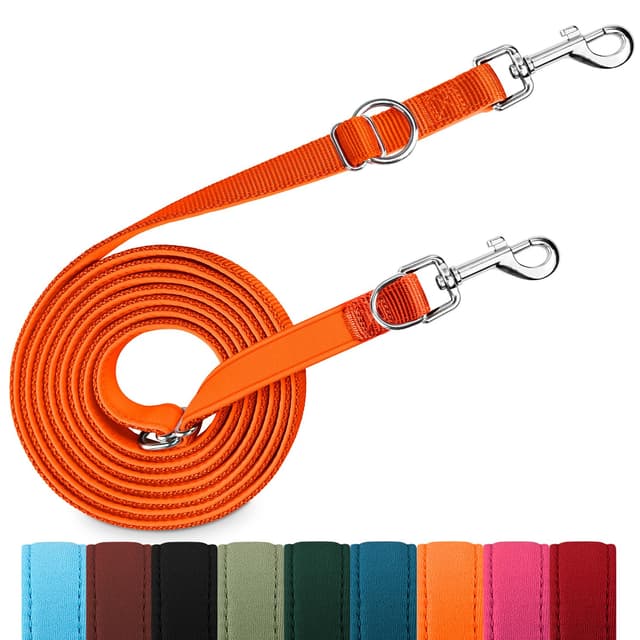 PETCOOZ Hundeleine 3 m Verstellbare Schleppleine mit 2 Karabiner, Verdickte Doppelleine Führleine für Kleine Mittelgroße Hunde, Freihandleinen Übungsleine aus Nylon, Orange 3 Meter Orange 🐾🐕