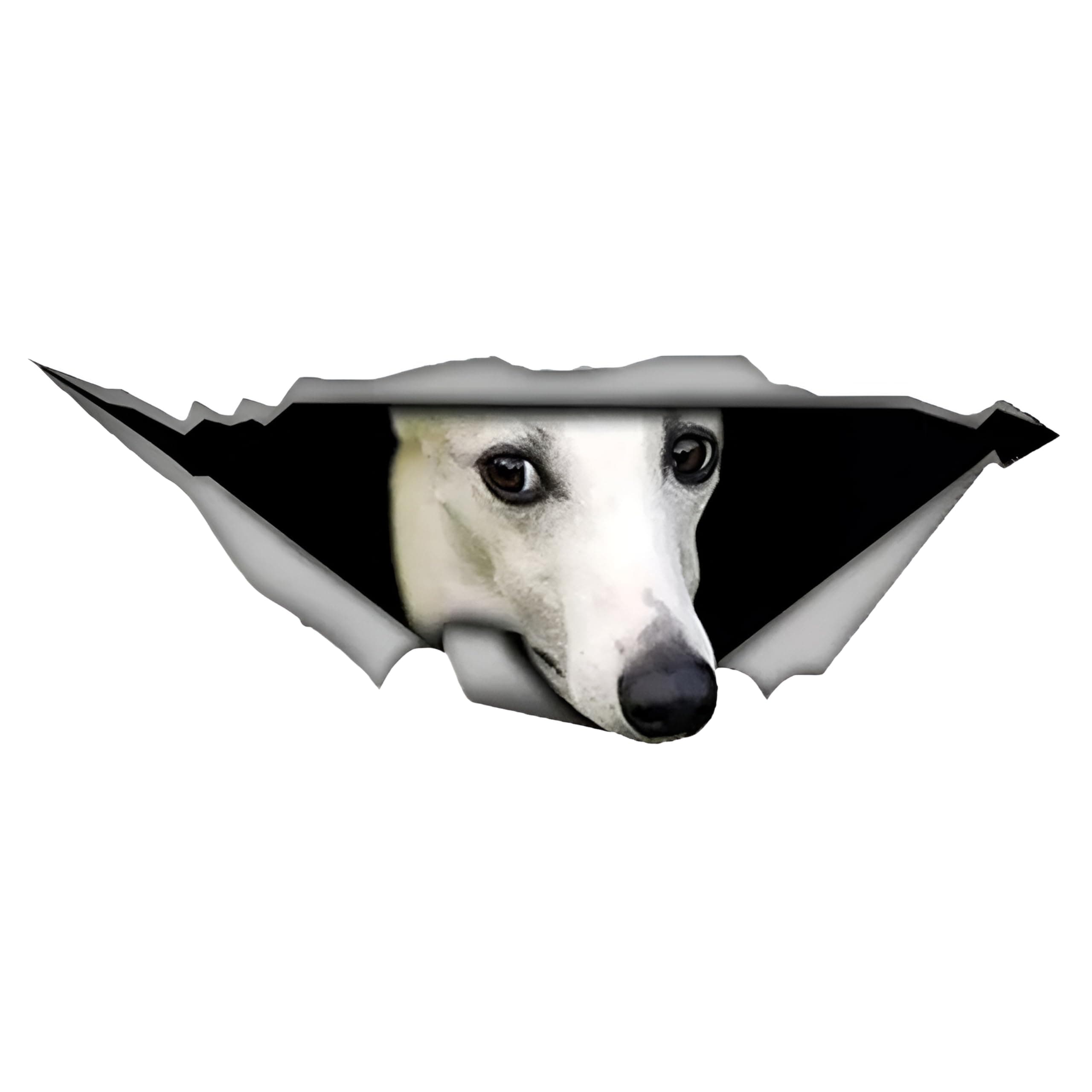 🚗🐶 Autoaufkleber Whippet Aufkleber 18cm Weiß 3D Zerrissen Reflektierend