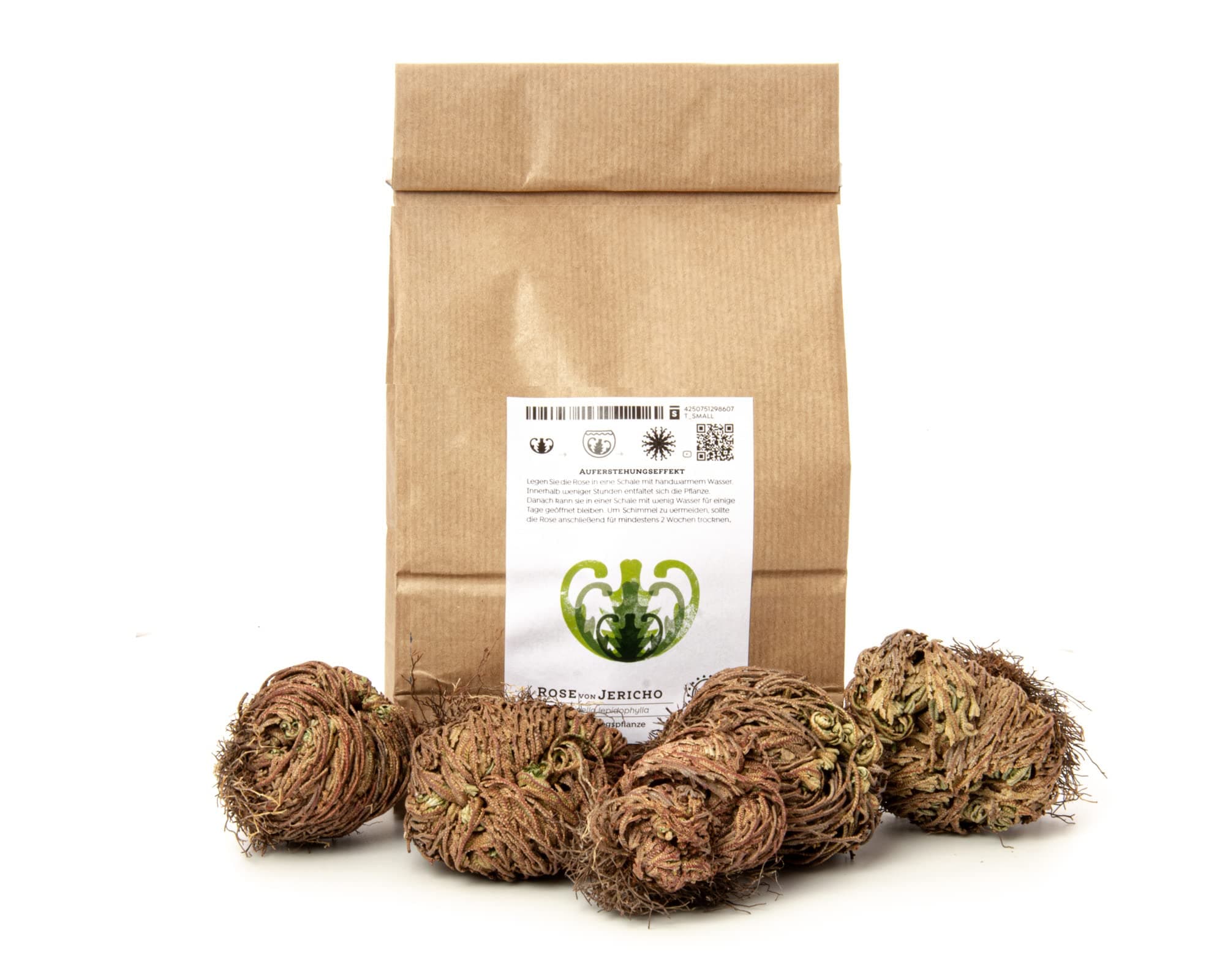 YAKEBA Sparset: Rose von Jericho und Selaginella lepidophylla | 5 Stück