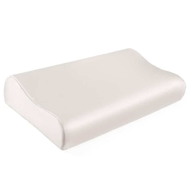 THXSILK 19 Momme Maulbeerseide Kissenbezug 🌙 Hypoallergen & Waschbar