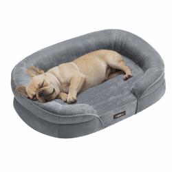 🐶 Feandrea Hundebett für mittelgroße Hunde 76x51x18 cm - Orthopädisch und wasserdicht! 🐾
