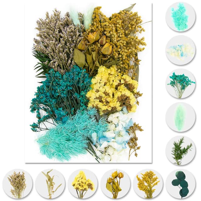 🌸 iDattel Natürliche Getrocknete Blumen Set für Basteln und DIY 🌺