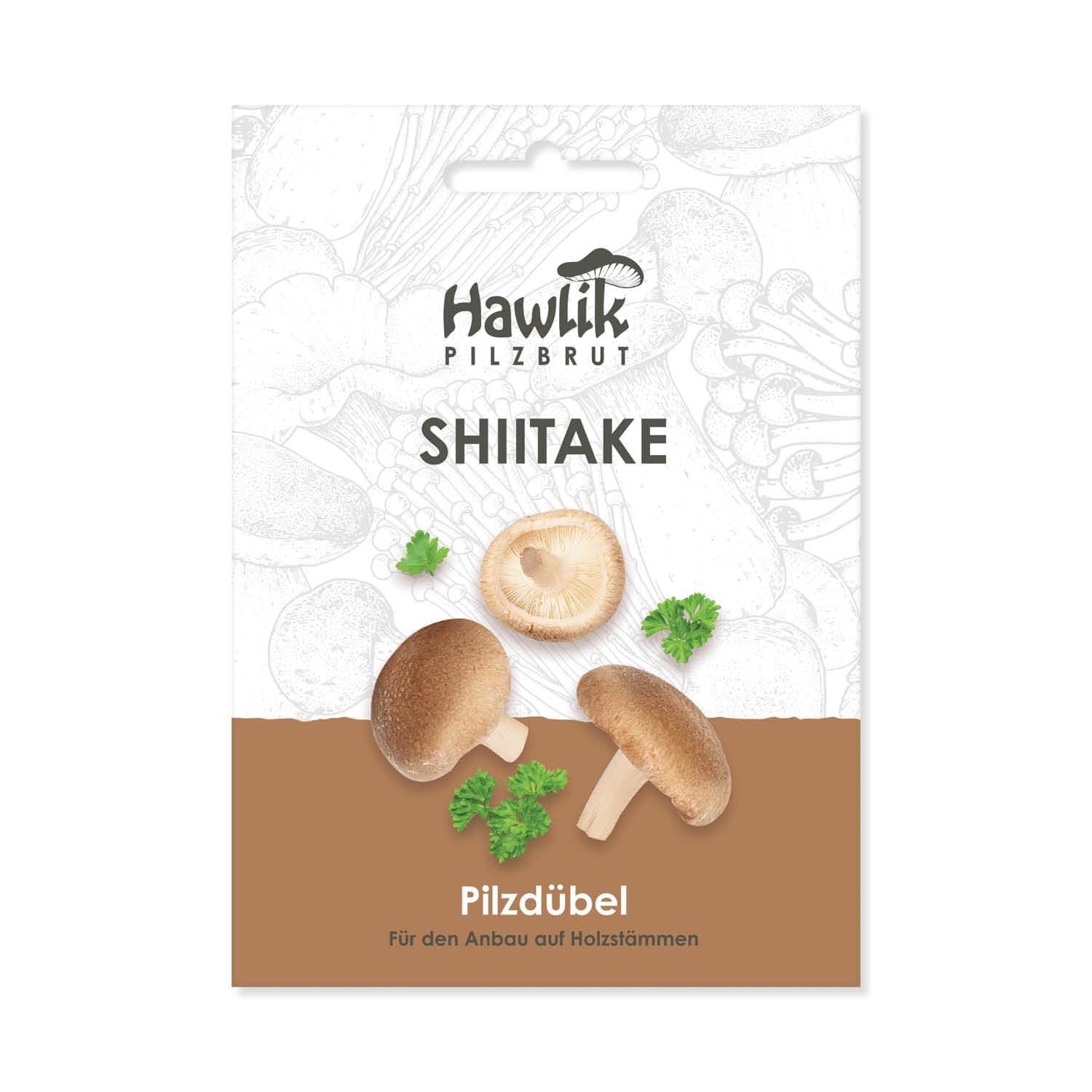 Hawlik Pilzbrut - 🍄 Shiitake Pilze auf Holz & Baumstämmen züchten 🌳