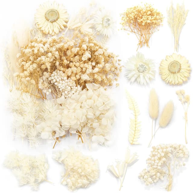 🌸 iDattel Natürliche Getrocknete Blumen Set für Kunst Basteln 🌺
