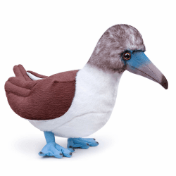 🐦🎁 Blaufußtölpel Plüschtier 26cm - Realistisches Vogel-Plüsch Spielzeug