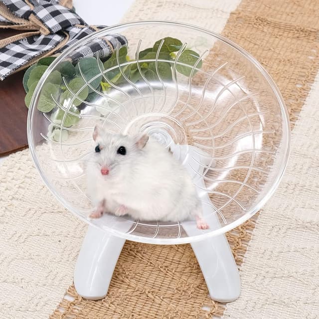 🐹 INHEMING Hamster Laufrad aus Kunststoff, 7 Zoll Hamster Fliegende Untertasse, Weiß 🏃‍♂️