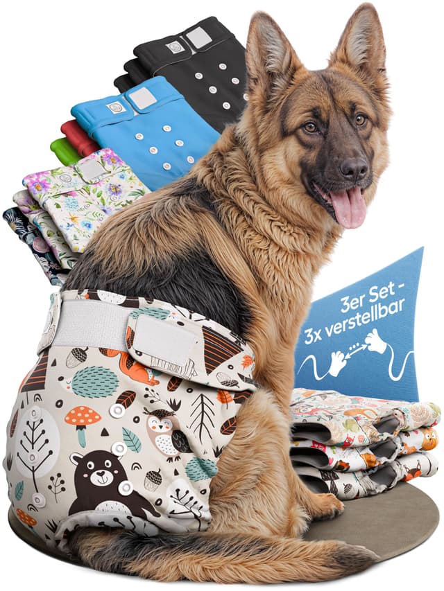 🐶 HUND IST KÖNIG Hundewindeln für Hündinnen (3 Stück) - Umweltfreundliche Läufigkeitshose & Inkontinenz Hundehöschen 🌿
