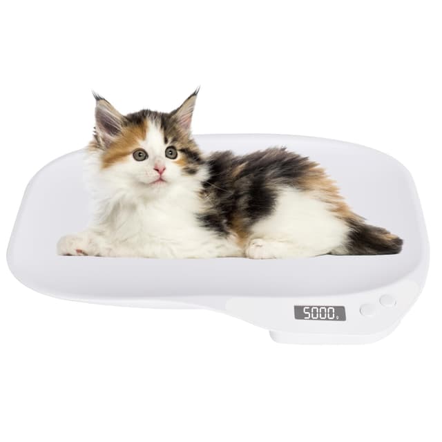 Digitale Waage für Haustiere - Tierwaage Kleintiere 🐶🐱🐹🐰🦜