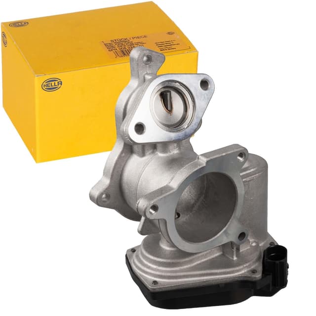 HELLA 6NU 010 171-291 AGR-Ventil 🚗