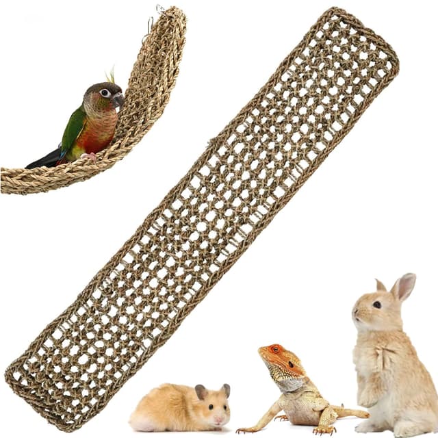 Vogel-Seegrasmatte Kletterseil Leiter 🐦🐭🐍