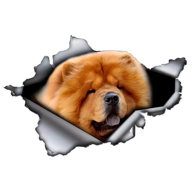 Autoaufkleber Chow Chow Aufkleber 15cm(5.9 Inch) 🐶🚗