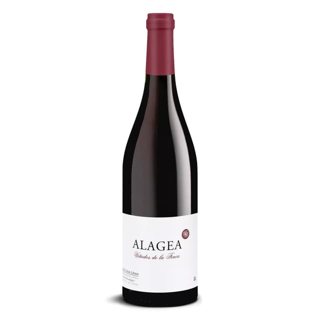 DELINAT – Alagea 2022 – Spanischer Rotwein trocken – Bio-Wein aus Valencia, vegan 🍷🌿