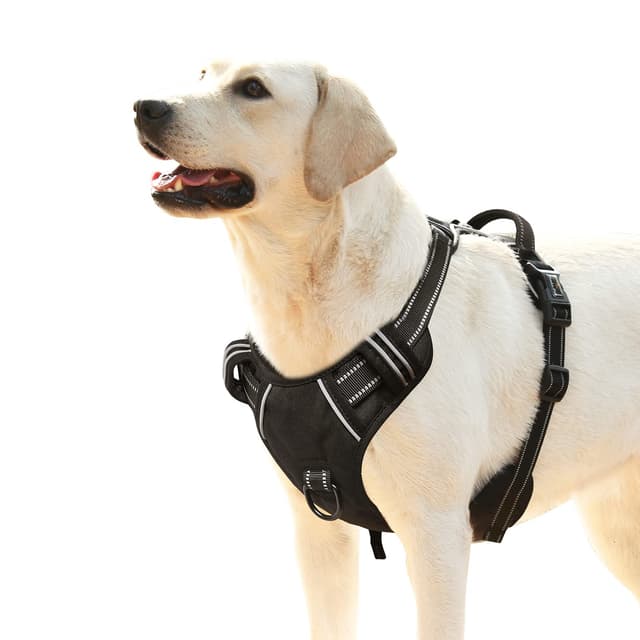 🐶🐾 HEELE Hundegeschirr für Mittelgroße Hunde 🐾🐶