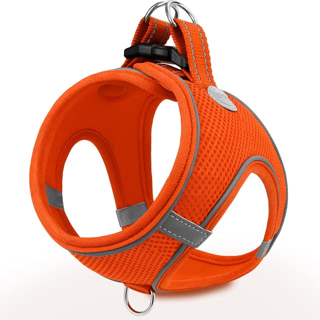 🐶 Joytale Hundegeschirr M-Brust:42-47cm Orange - Weich Gepolstert & Atmungsaktiv 🐾