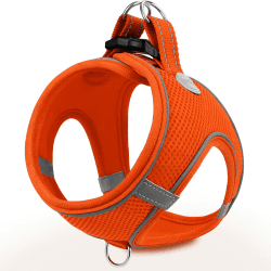 🐶 Joytale Hundegeschirr M-Brust:42-47cm Orange - Weich Gepolstert & Atmungsaktiv 🐾