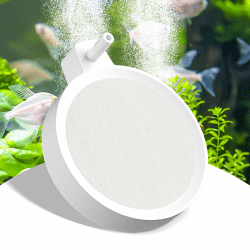 Boadw 80mm Aquarium Luftstein Nano 🐠🌿