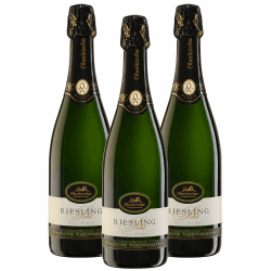 Oberkircher Winzer Riesling Sekt brut - COLLECTION OBERKIRCH Exklusiv 🍾
