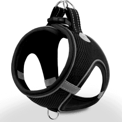 🐾 Joytale Hundegeschirr Kleine Hunde S Schwarz S-Brust: 38-42cm - Reflektierend & Bequem 🐶