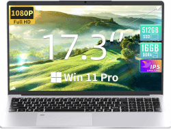 Fsjun Win 11 Pro & Office 2019 17.3 Zoll Laptop - Silber