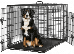 🐶 Yaheetech Hundekäfig 122 x 71 x 78 cm - XXL Schwarz - Klappbar & Vielseitig 🐾