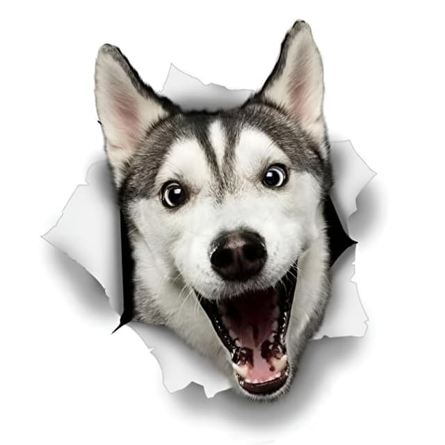 Autoaufkleber 25cm(9.8 Inch) Husky Aufkleber 🐶🚗
