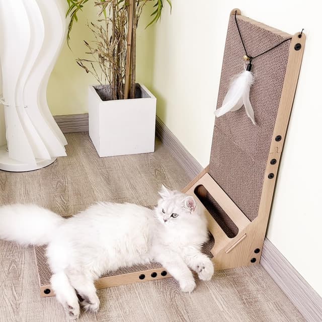 🐱🐾 Mora Pets Kratzbrett für Katzen 🐾🐱