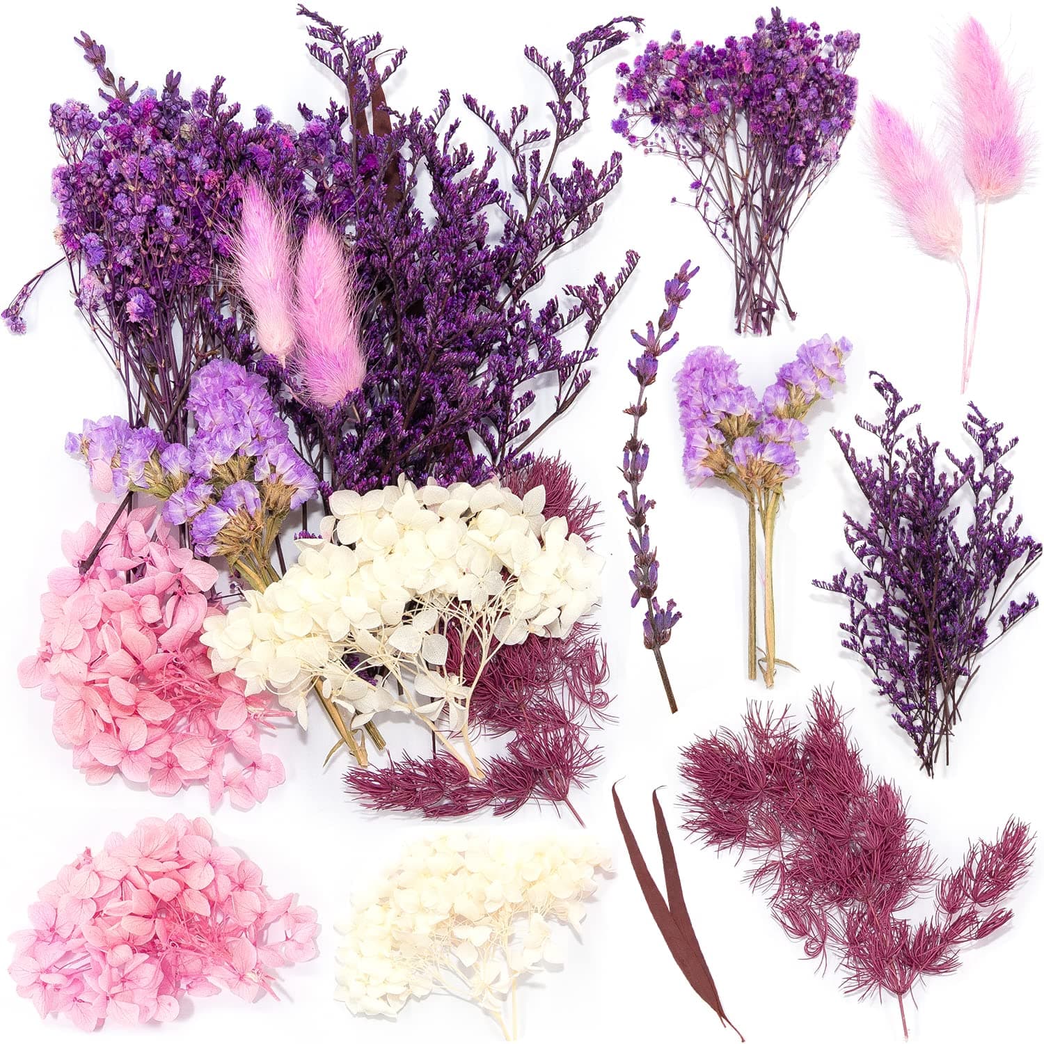 🌸 iDattel Natürliche Getrocknete Blumen,Blumen Natürliche Gemischte,DIY Natürliche Getrocknet Blumen Set für Kunst Basteln DIY Harz Scrapbooking Handwerk Karten Machen(Weißviolett) 🌺