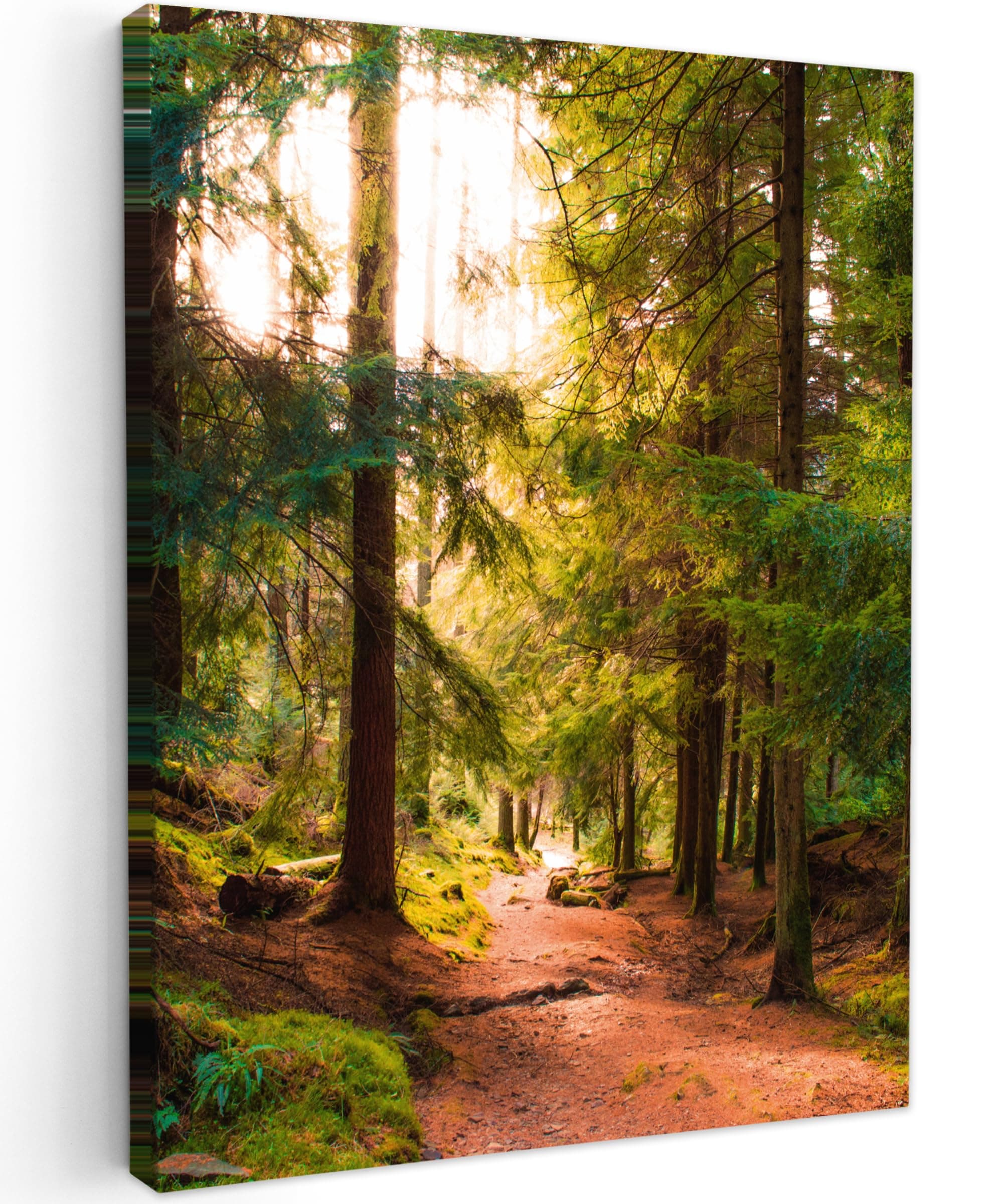 🌿🌞 MuchoWow© Bild auf Leinwand 50x70 cm - Wald - Weg - Bäume - Schlafzimmer Wohnzimmer Deko 🖼️