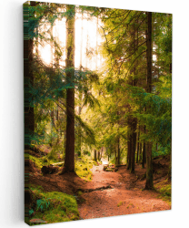 🌿🌞 MuchoWow© Bild auf Leinwand 50x70 cm - Wald - Weg - Bäume - Schlafzimmer Wohnzimmer Deko 🖼️