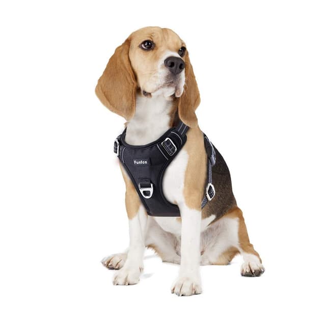 🐾 Funfox Hundegeschirr Mittelgroße Hunde [M] - Verstellbares Anti-Zug Brustgeschirr mit Griff & Reflektorstreifen 🐾