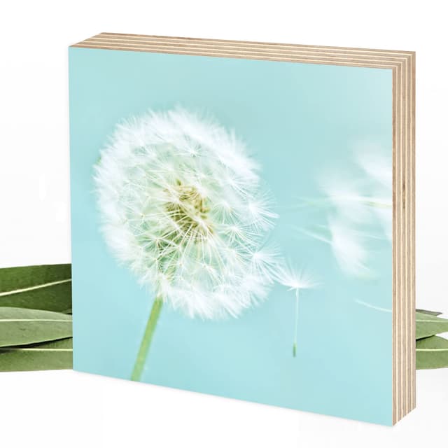 🌼 Wunderpixel® Holzbild Pusteblume I - Dekoration oder Geschenk 🎁