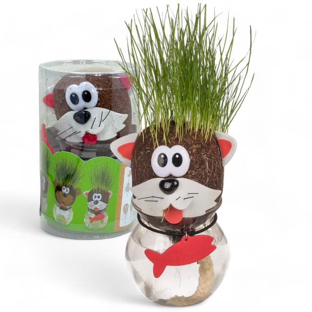 🌱🐱 MIJOMA Tier-Graskopf - Lustiges Experiment für Kinder 🌿🧒