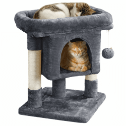 🐱 Yaheetech Kratzbaum 60 cm Dunkelgrau - Spielplatz für kleine Katzen 🐾
