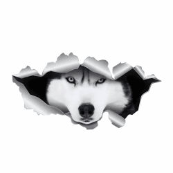 Husky Autoaufkleber 3D Zerrissen Personalisiert 🐶