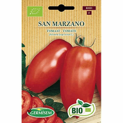 Angebot: Bio Tomate San Marzano 🍅🌿